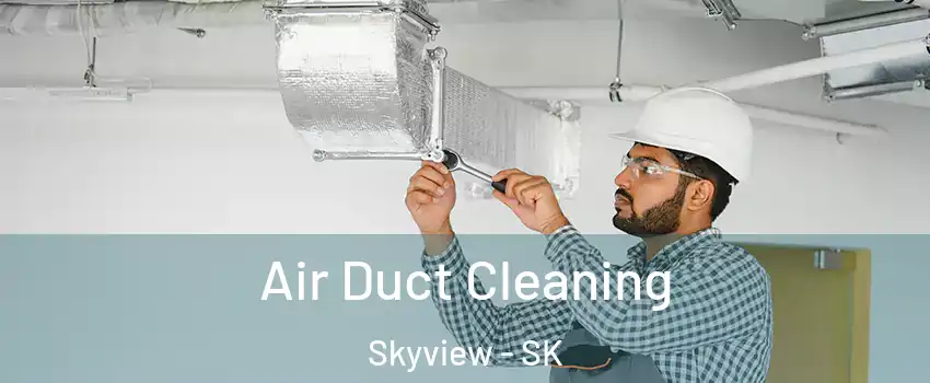  Air Duct Cleaning Skyview - SK