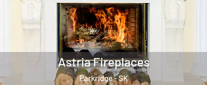  Astria Fireplaces Parkridge - SK