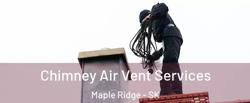  Chimney Air Vent Services Maple Ridge - SK