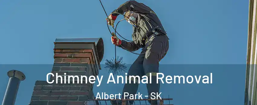 Chimney Animal Removal Albert Park - SK