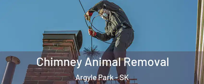 Chimney Animal Removal Argyle Park - SK