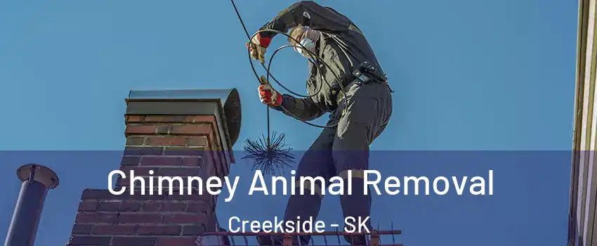 Chimney Animal Removal Creekside - SK