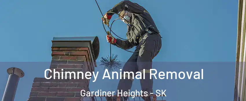 Chimney Animal Removal Gardiner Heights - SK