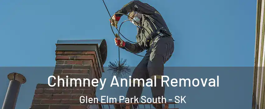 Chimney Animal Removal Glen Elm Park South - SK
