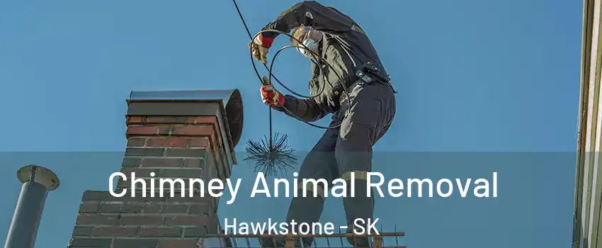 Chimney Animal Removal Hawkstone - SK