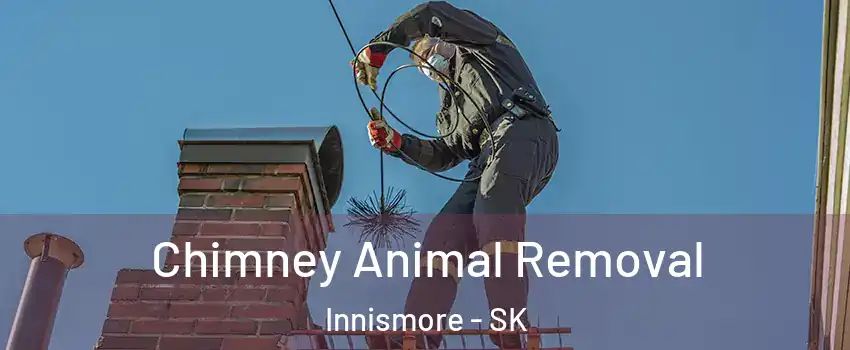  Chimney Animal Removal Innismore - SK