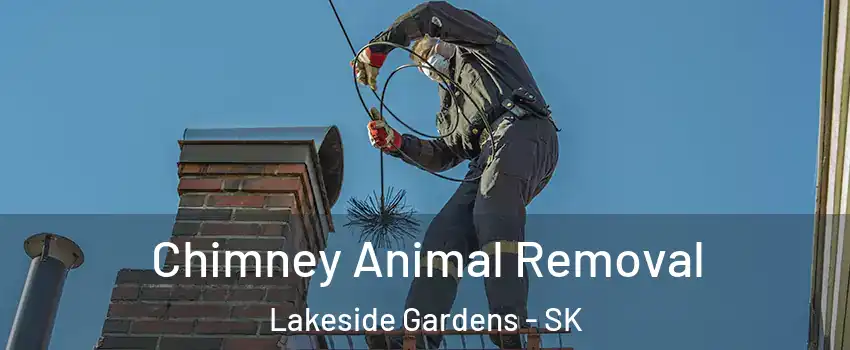 Chimney Animal Removal Lakeside Gardens - SK