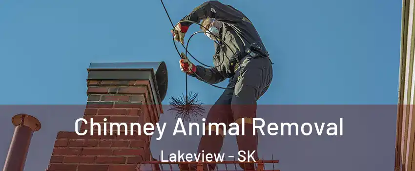 Chimney Animal Removal Lakeview - SK