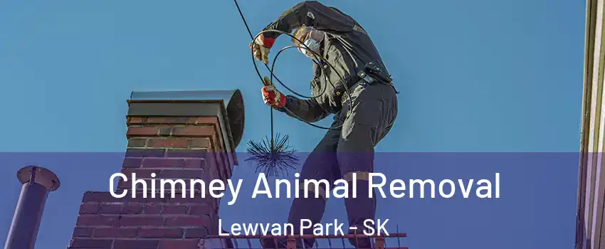 Chimney Animal Removal Lewvan Park - SK