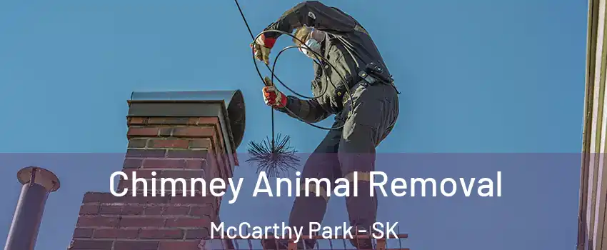 Chimney Animal Removal McCarthy Park - SK