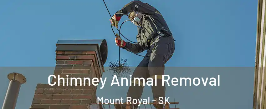 Chimney Animal Removal Mount Royal - SK