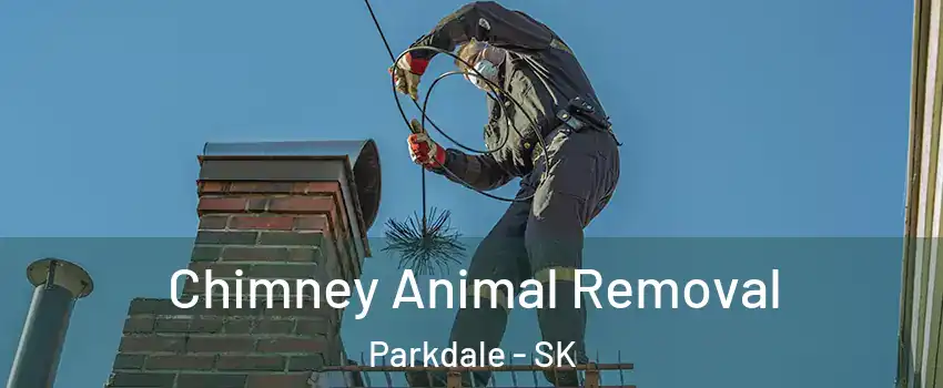 Chimney Animal Removal Parkdale - SK
