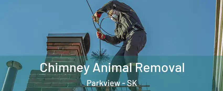 Chimney Animal Removal Parkview - SK