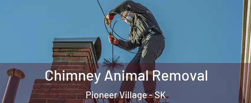 Chimney Animal Removal Pioneer Village - SK