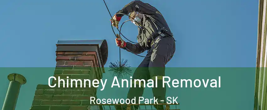 Chimney Animal Removal Rosewood Park - SK