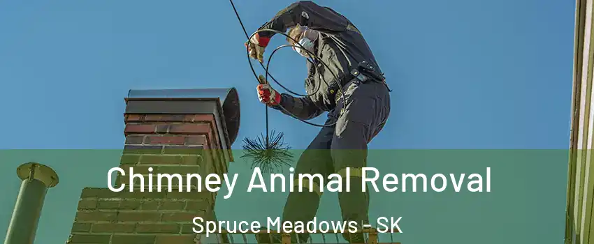 Chimney Animal Removal Spruce Meadows - SK