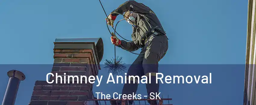 Chimney Animal Removal The Creeks - SK