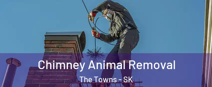 Chimney Animal Removal The Towns - SK