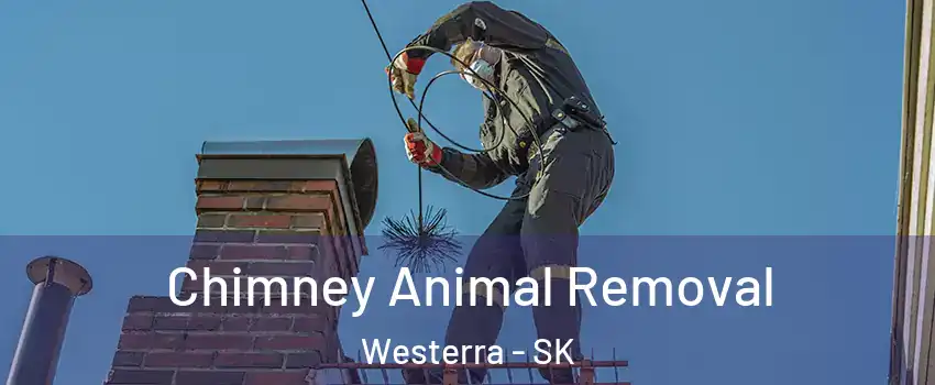 Chimney Animal Removal Westerra - SK