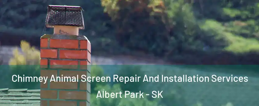  Chimney Animal Screen Repair And Installation Services Albert Park - SK
