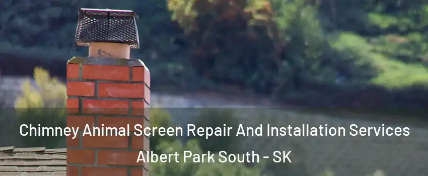  Chimney Animal Screen Repair And Installation Services Albert Park South - SK
