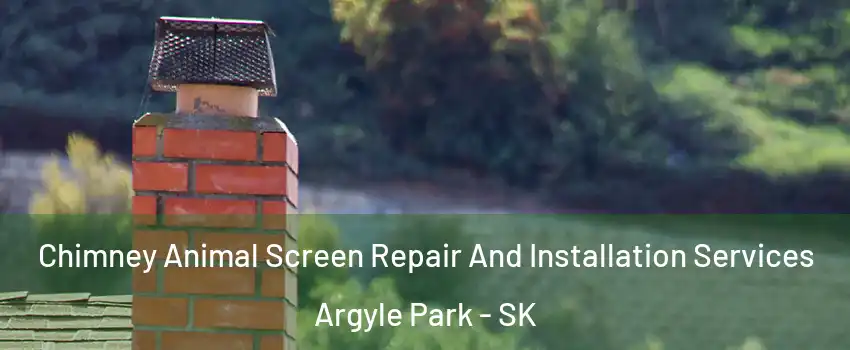  Chimney Animal Screen Repair And Installation Services Argyle Park - SK