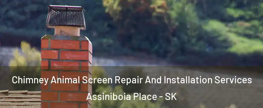 Chimney Animal Screen Repair And Installation Services Assiniboia Place - SK