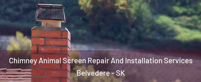  Chimney Animal Screen Repair And Installation Services Belvedere - SK
