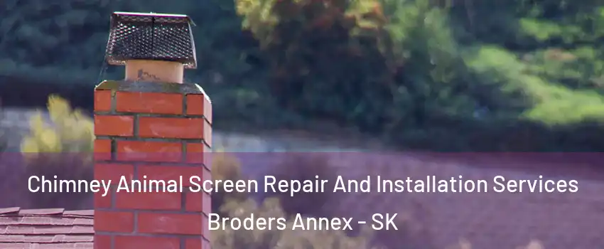  Chimney Animal Screen Repair And Installation Services Broders Annex - SK