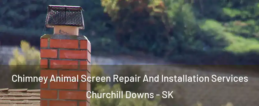  Chimney Animal Screen Repair And Installation Services Churchill Downs - SK