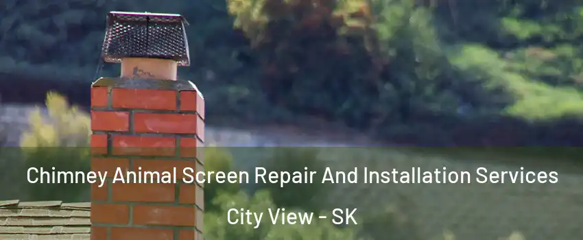  Chimney Animal Screen Repair And Installation Services City View - SK