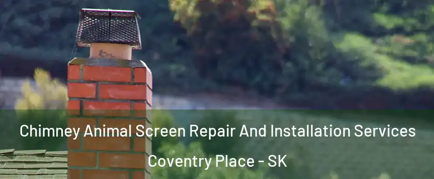  Chimney Animal Screen Repair And Installation Services Coventry Place - SK