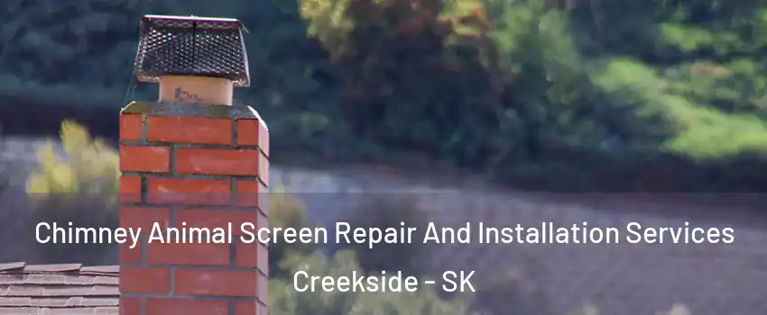  Chimney Animal Screen Repair And Installation Services Creekside - SK