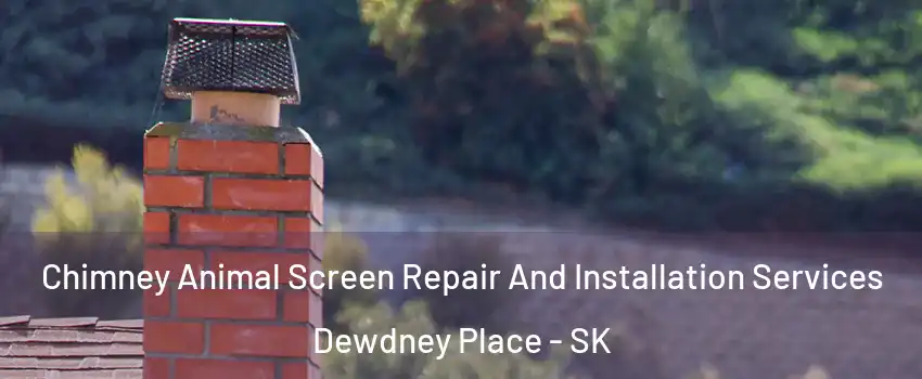  Chimney Animal Screen Repair And Installation Services Dewdney Place - SK