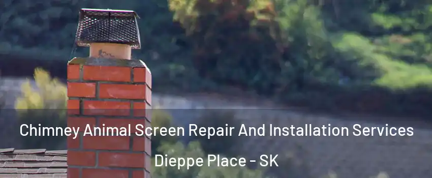  Chimney Animal Screen Repair And Installation Services Dieppe Place - SK