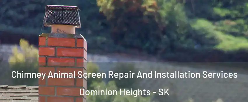  Chimney Animal Screen Repair And Installation Services Dominion Heights - SK