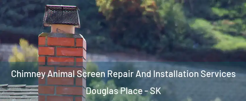  Chimney Animal Screen Repair And Installation Services Douglas Place - SK