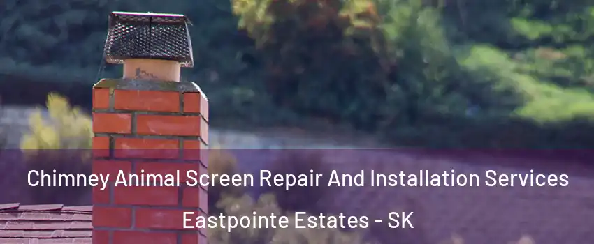  Chimney Animal Screen Repair And Installation Services Eastpointe Estates - SK