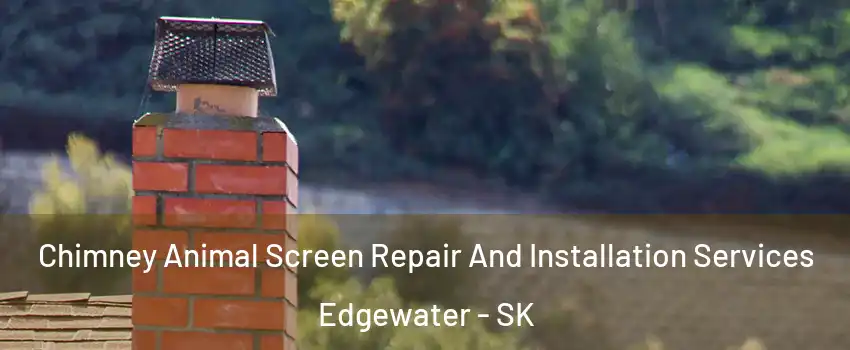  Chimney Animal Screen Repair And Installation Services Edgewater - SK