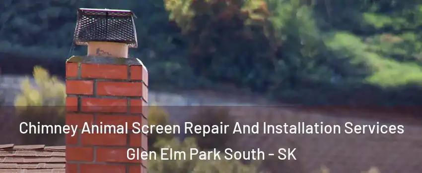  Chimney Animal Screen Repair And Installation Services Glen Elm Park South - SK