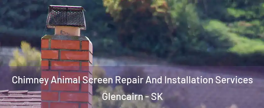  Chimney Animal Screen Repair And Installation Services Glencairn - SK