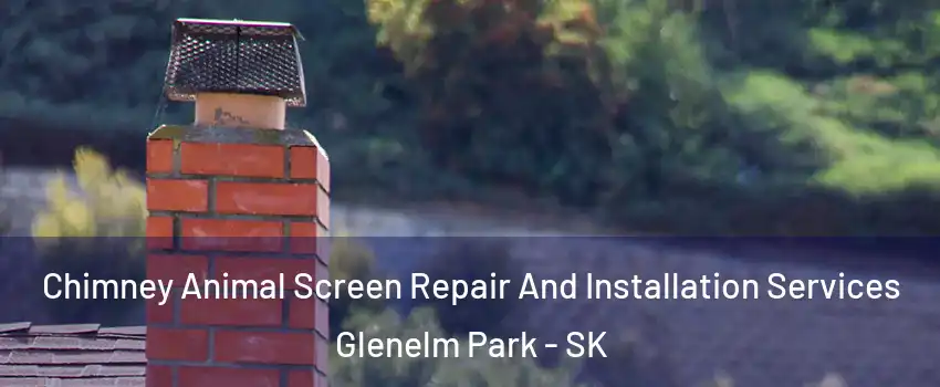  Chimney Animal Screen Repair And Installation Services Glenelm Park - SK