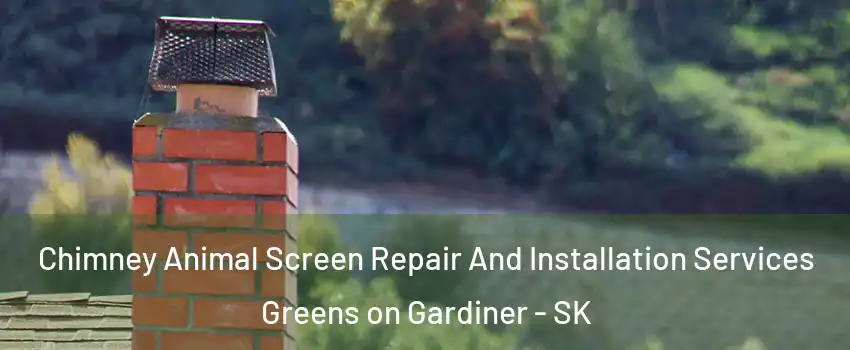  Chimney Animal Screen Repair And Installation Services Greens on Gardiner - SK