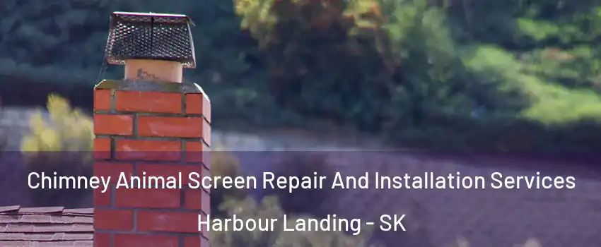  Chimney Animal Screen Repair And Installation Services Harbour Landing - SK