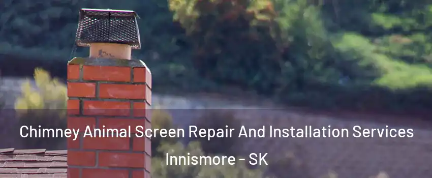  Chimney Animal Screen Repair And Installation Services Innismore - SK