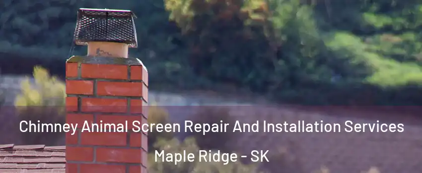  Chimney Animal Screen Repair And Installation Services Maple Ridge - SK