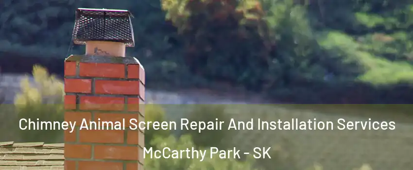  Chimney Animal Screen Repair And Installation Services McCarthy Park - SK