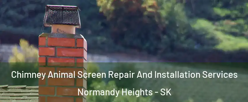  Chimney Animal Screen Repair And Installation Services Normandy Heights - SK