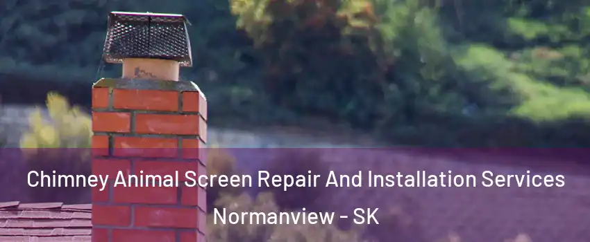  Chimney Animal Screen Repair And Installation Services Normanview - SK