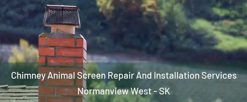  Chimney Animal Screen Repair And Installation Services Normanview West - SK